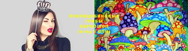 гашик Арсеньев
