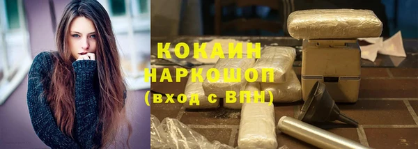 гашик Арсеньев