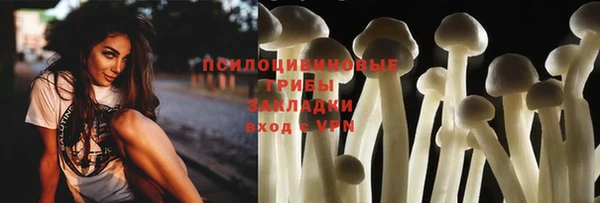 гашик Арсеньев