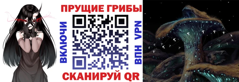 Псилоцибиновые грибы MAGIC MUSHROOMS  Белоозёрский 